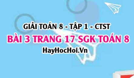 Giải bài 3 trang 17 Toán 8 Tập 1 SGK Chân trời sáng tạo